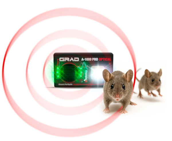 Град А-1000 ПРО ОПТИК